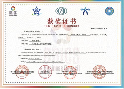 喜訊！我校代表隊在2021一帶一路暨金磚國家技能大賽電子技術賽項國內賽決賽中勇奪佳績